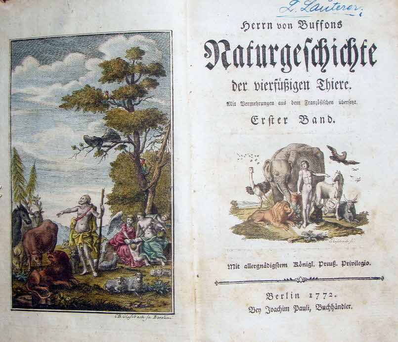 Buffon's Naturgeschichte der vierfüssigen Thiere - mit farbigen Stichen 1772 - Erster Band - 12 x 20 cm - 329 Seiten -  39 € mtl./K 450 €