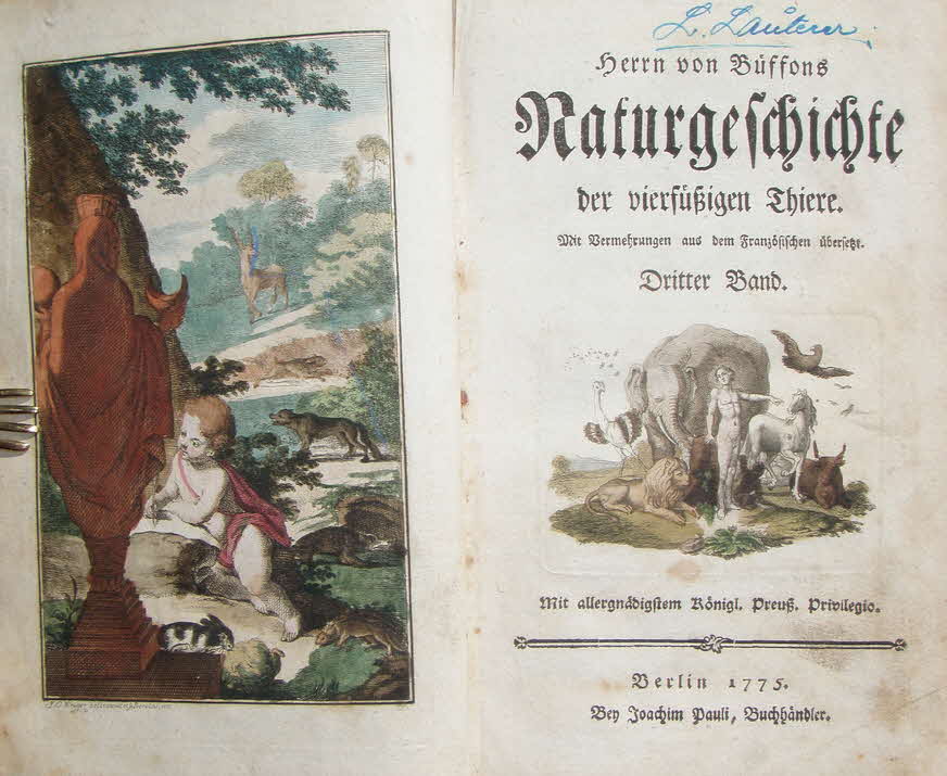 Buffon's Naturgeschichte der vierfüssigen Thiere - mit farbigen Stichen 1772 - Dritter Band - 12 x 20 cm - 239 Seiten-  39 € mtl./K 450 €